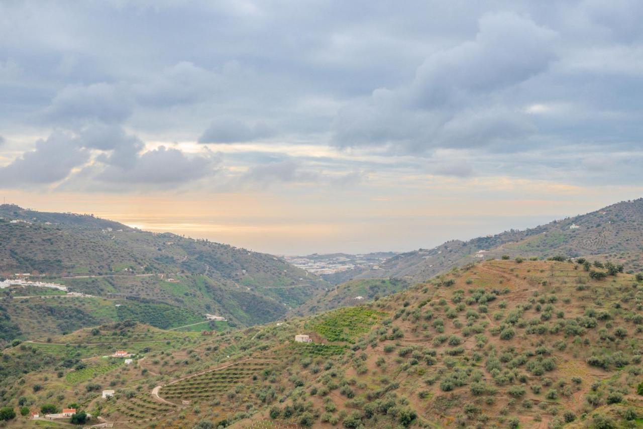 Cortijo La Encina Villa Sayalonga Ngoại thất bức ảnh